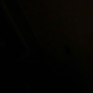 Meet your Posher, Bertha